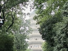 -灵谷景区