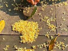 -海底捞火锅(海悦天地店)