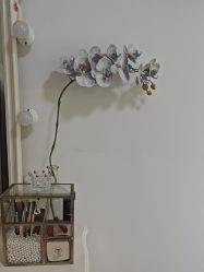 -美肤盾祛痘·问题肌头疗管理中心