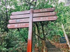 -东莞市大岭山森林公园