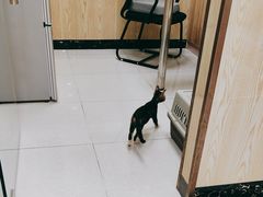 -瑞鹏宠物医院犬猫全科(真大分院)