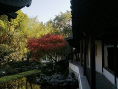-秋霞圃