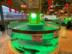 -年辉渔村