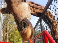 -荆州中山公园动物园