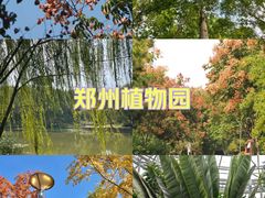 -郑州植物园
