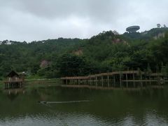 -神光山国家森林公园