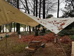 -上海海湾国家森林公园