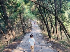 -金堂县云顶石城风景区