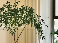 -江阴锦华装饰·堂杰国际设计(江阴店)