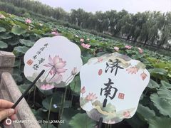 -济南大明湖景区