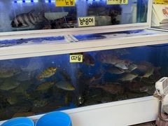 -西归浦每天偶来市场