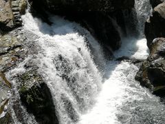 -龙湾潭国家森林公园