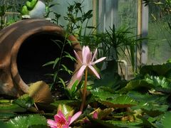 -国家植物园南园