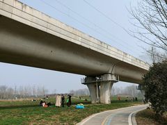 -桤木河湿地公园