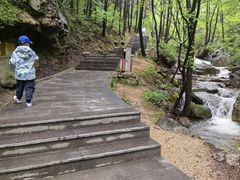 -王顺山国家森林公园
