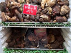 鲜见手青-太婆天府山珍酒楼(亚运村店)
