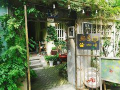 -猫色咖啡·猫咖
