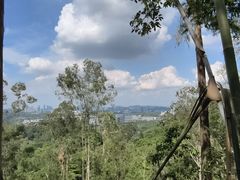 -水濂山森林公园