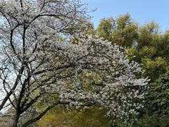 -中国茶叶博物馆(双峰馆区)