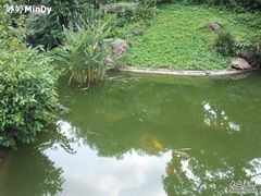 -晓港公园