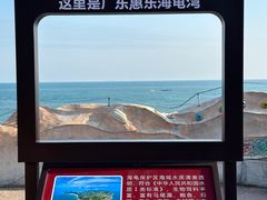 -广东惠东海龟国家级自然保护区