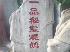 -食家鸽园