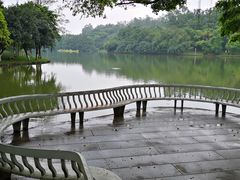 -番禺大夫山森林公园