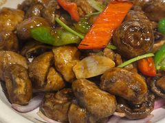 -同乐馆(阳光店)