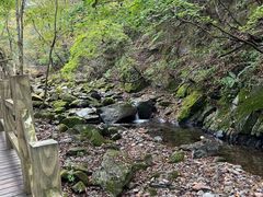 -本溪汤沟绿石谷森林公园