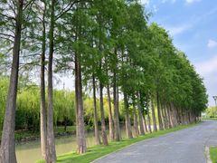 -上海月湖雕塑公园