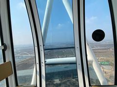 -祥源·阜阳生态乐园