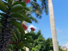 -白鹭洲公园