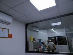 -糕小爱动物奶油生日蛋糕定制(晋江万达店)