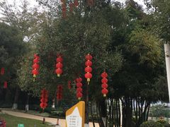 -天河儿童公园