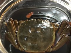 -黄记大闸蟹专卖店·活蟹·醉蟹