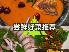 -秀儿四九城·新京菜(亚运村鸟巢店)