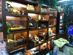 -灵彩珠宝(朗香街店)