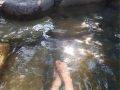 -天目湖涵田半山温泉