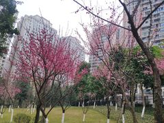 -沐仙湖湿地公园