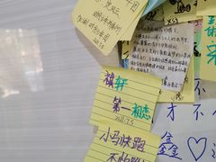 -沉香牛肉面