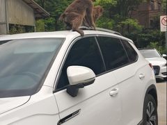 -西岭雪山大飞水景区