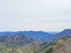 -大岭沟猕猴桃谷风景区