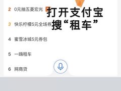 -一嗨租车(凤凰机场店)