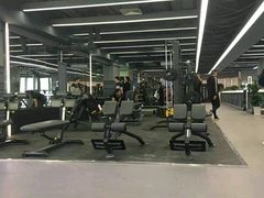-金吉鸟健身游泳