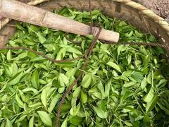 -华祥苑茶馆•国缤茶小蓝罐(普罗旺斯店)