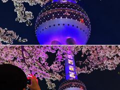 -东方明珠广播电视塔