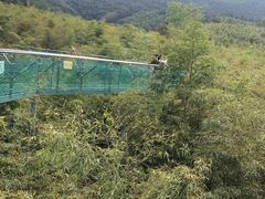 -陶祖圣境风景区