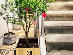 -沏点Trattoria意大利餐厅(新街口店)
