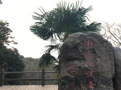 -普陀山慧济禅寺