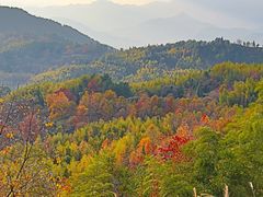 -塔川景区
